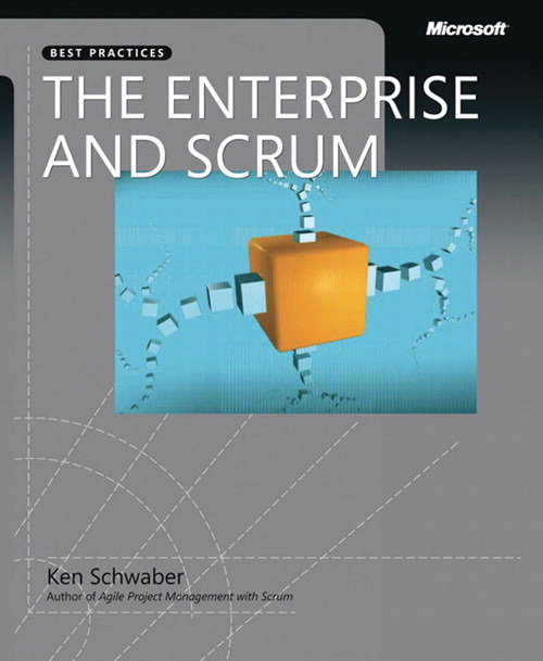 Enterprise and Scrum, The